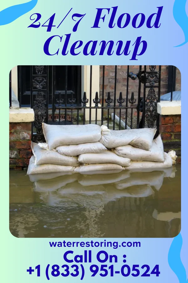 24/7 Flood Cleanup in Montgomery, MI