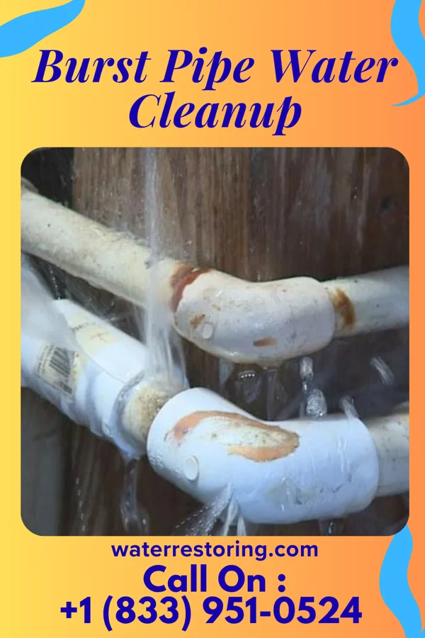 Burst Pipe Water Cleanup in Montgomery, MI