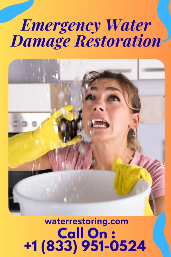 Emergency Water Damage Restoration in Montgomery, MI
