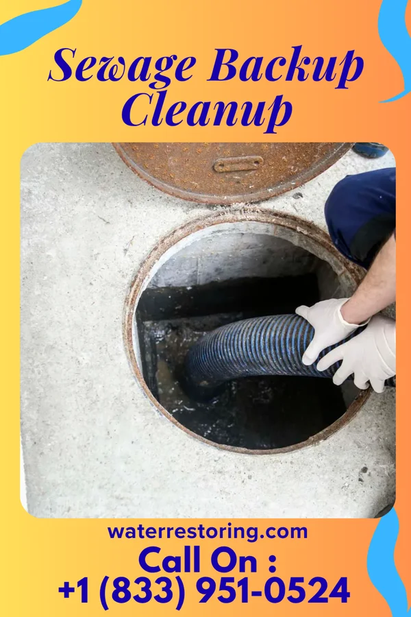 Sewage Backup Cleanup in Montgomery, MI