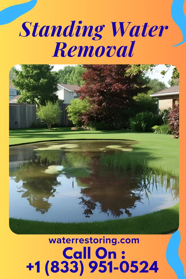 Standing Water Removal in Montgomery, MI